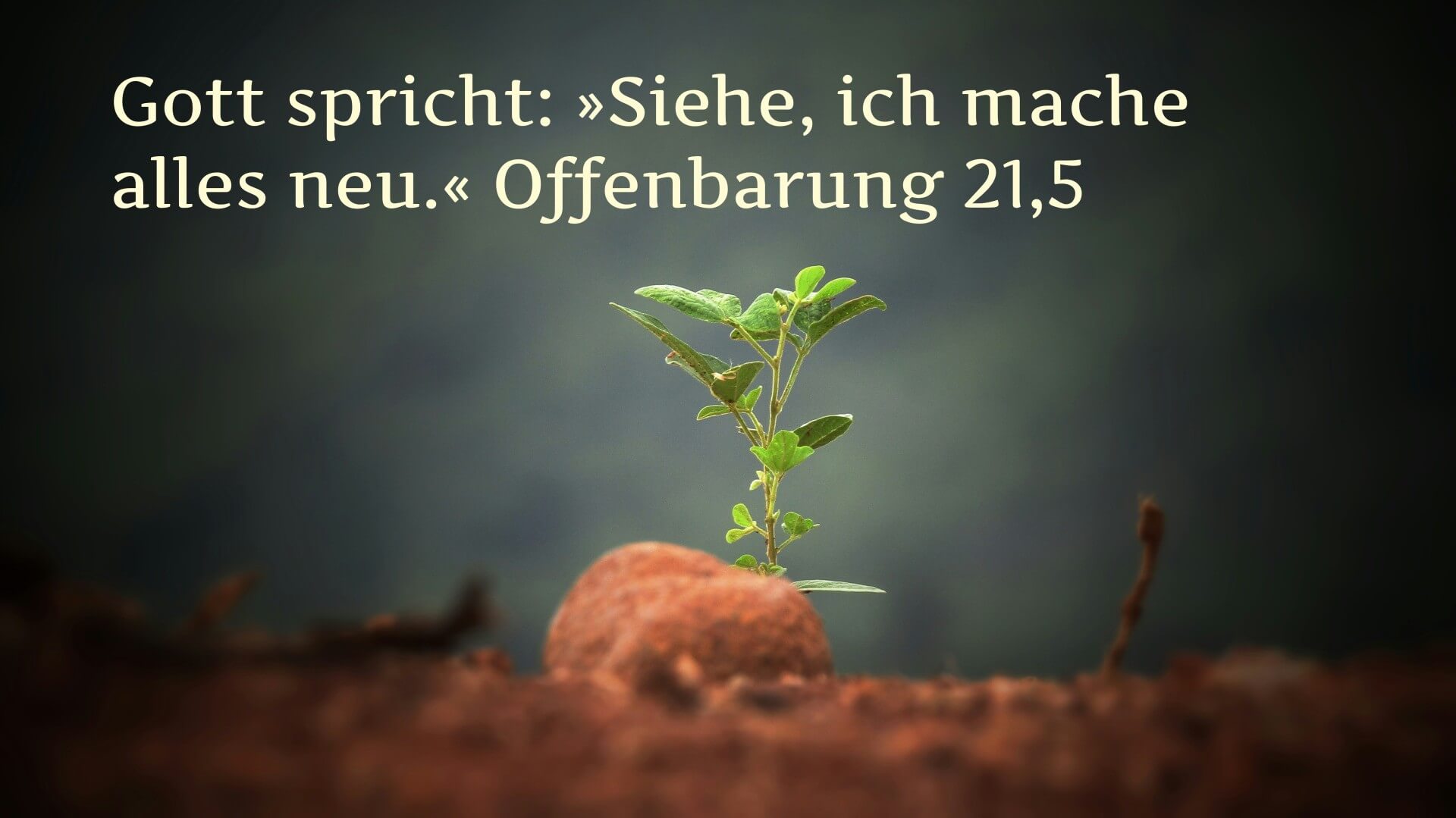 Siehe, ich mache alles neu